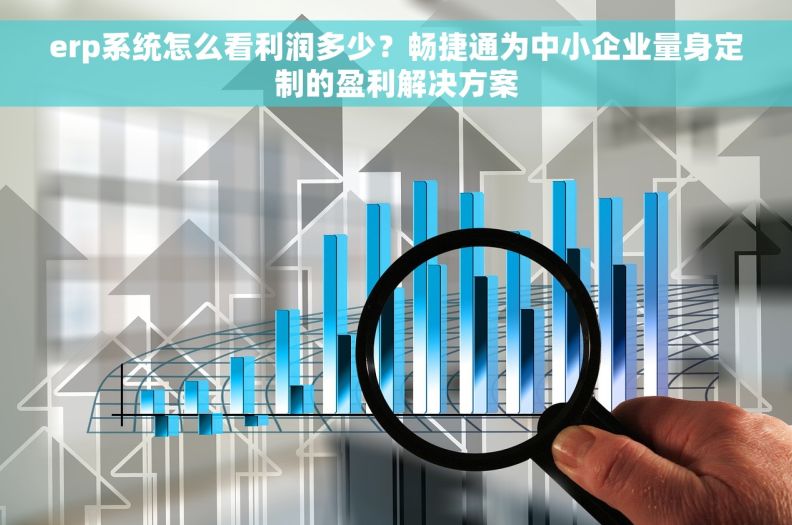 erp系统怎么看利润多少?畅捷通为中小企业量身定制的盈利解决方案 erp系统怎么看利润多少?畅捷通为中小企业量身定制的盈利解决方案