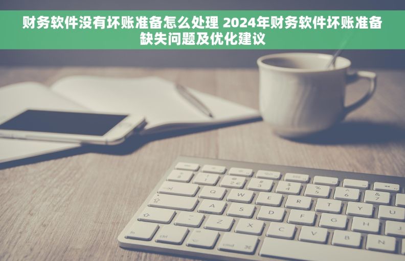 财务软件没有坏账准备怎么处理 2024年财务软件坏账准备缺失问题及优化建议