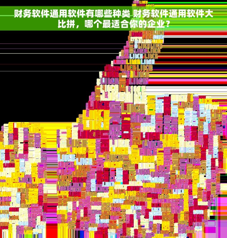 财务软件通用软件有哪些种类 财务软件通用软件大比拼，哪个最适合你的企业？
