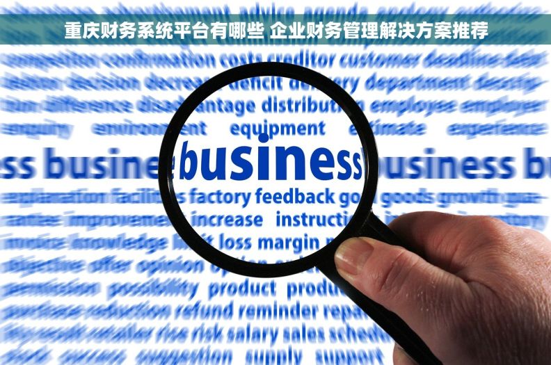重庆财务系统平台有哪些 企业财务管理解决方案推荐