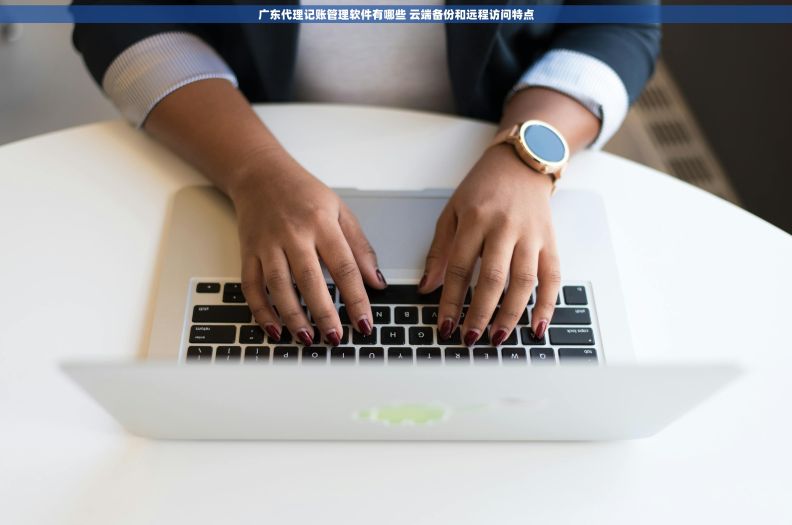 广东代理记账管理软件有哪些 云端备份和远程访问特点