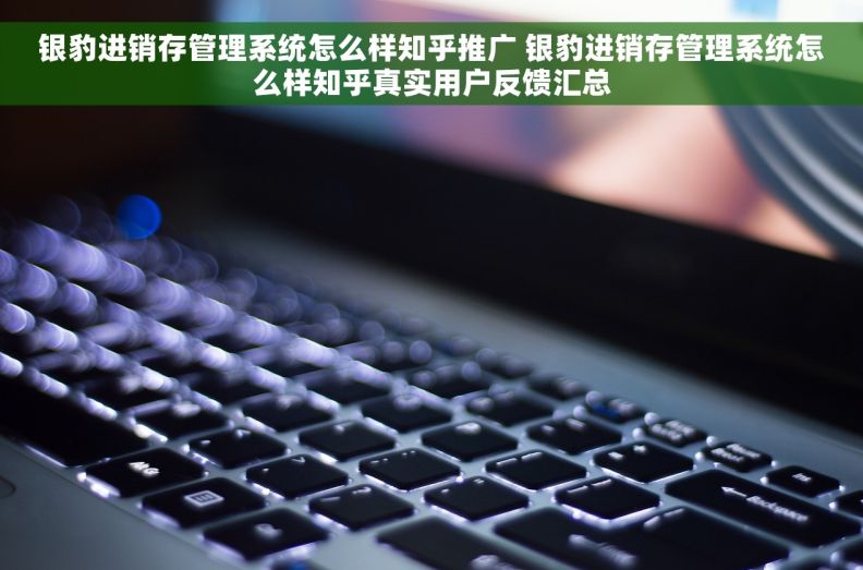 银豹进销存管理系统怎么样知乎推广 银豹进销存管理系统怎么样知乎真实用户反馈汇总
