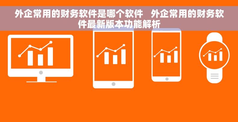 外企常用的财务软件是哪个软件   外企常用的财务软件最新版本功能解析