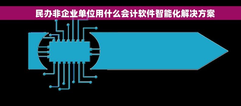     民办非企业单位用什么会计软件智能化解决方案