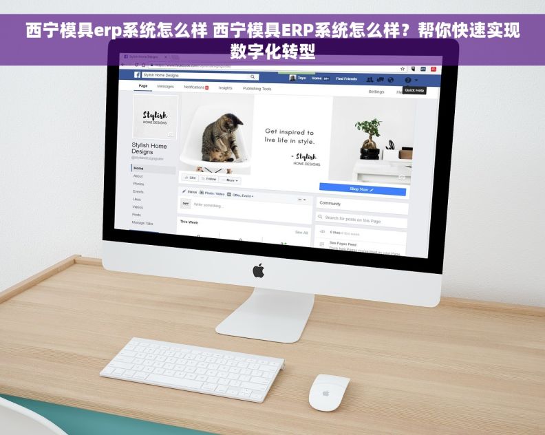 西宁模具erp系统怎么样 西宁模具ERP系统怎么样？帮你快速实现数字化转型