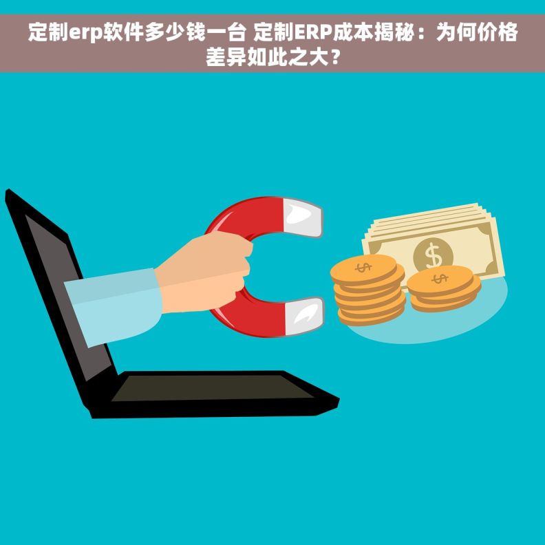 定制erp软件多少钱一台 定制ERP成本揭秘：为何价格差异如此之大？