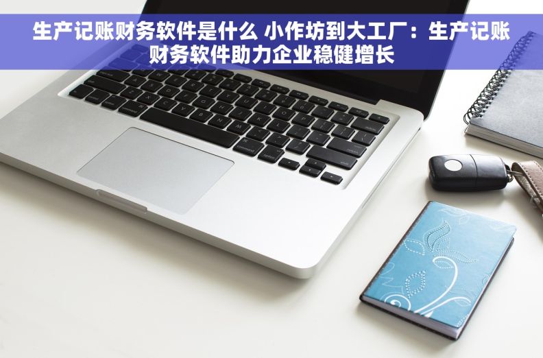 生产记账财务软件是什么 小作坊到大工厂：生产记账财务软件助力企业稳健增长