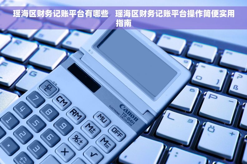 瑶海区财务记账平台有哪些   瑶海区财务记账平台操作简便实用指南