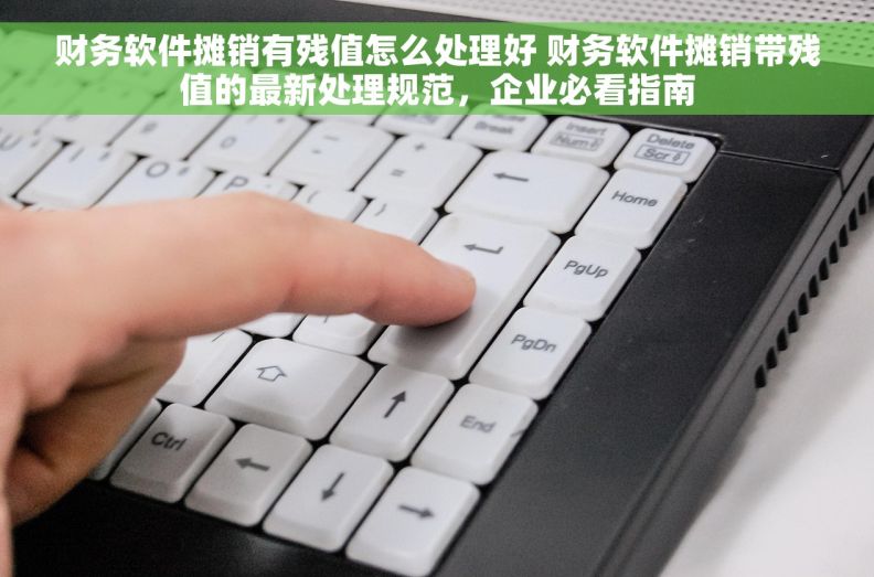财务软件摊销有残值怎么处理好 财务软件摊销带残值的最新处理规范，企业必看指南