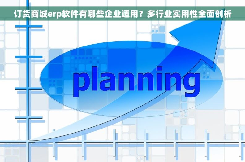 订货商城erp软件有哪些企业适用？多行业实用性全面剖析