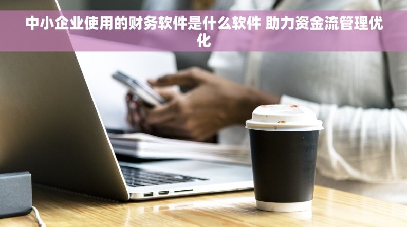中小企业使用的财务软件是什么软件 助力资金流管理优化