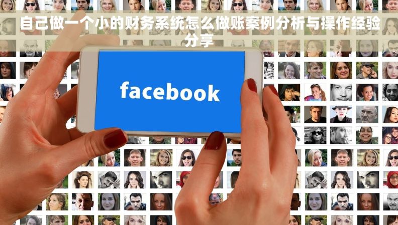 自己做一个小的财务系统怎么做账案例分析与操作经验分享
