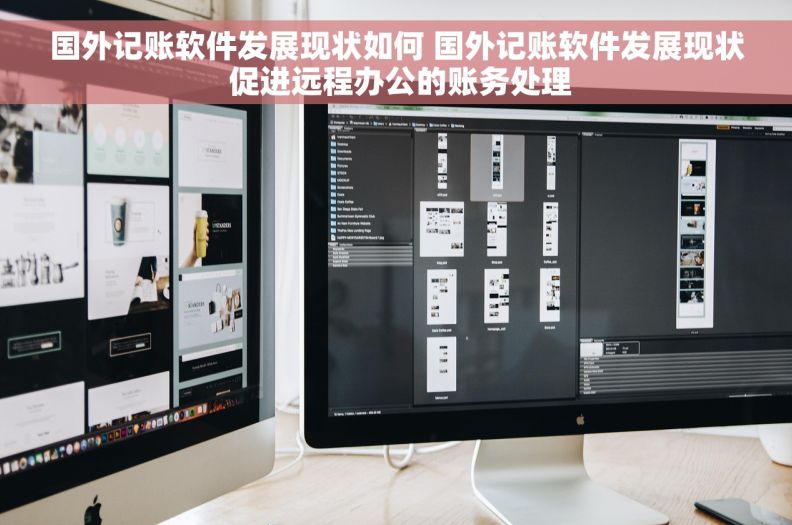 国外记账软件发展现状如何 国外记账软件发展现状 促进远程办公的账务处理