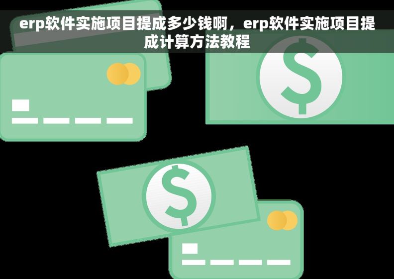 erp软件实施项目提成多少钱啊，erp软件实施项目提成计算方法教程