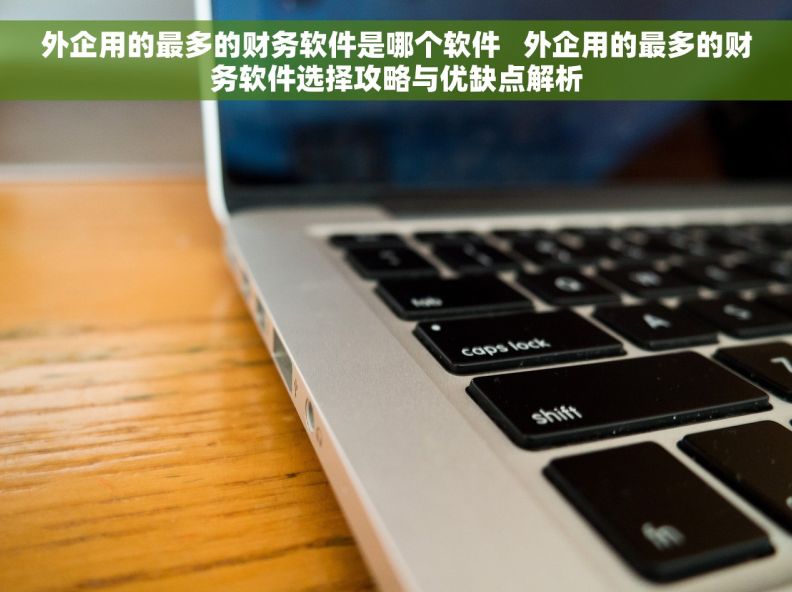 外企用的最多的财务软件是哪个软件   外企用的最多的财务软件选择攻略与优缺点解析