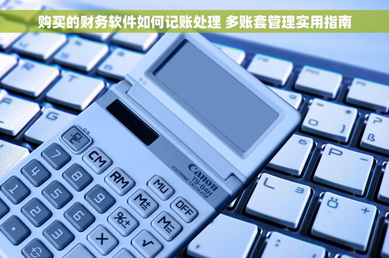 购买的财务软件如何记账处理 多账套管理实用指南