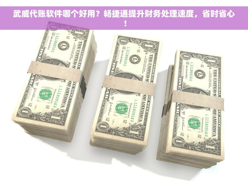 武威代账软件哪个好用？畅捷通提升财务处理速度，省时省心！