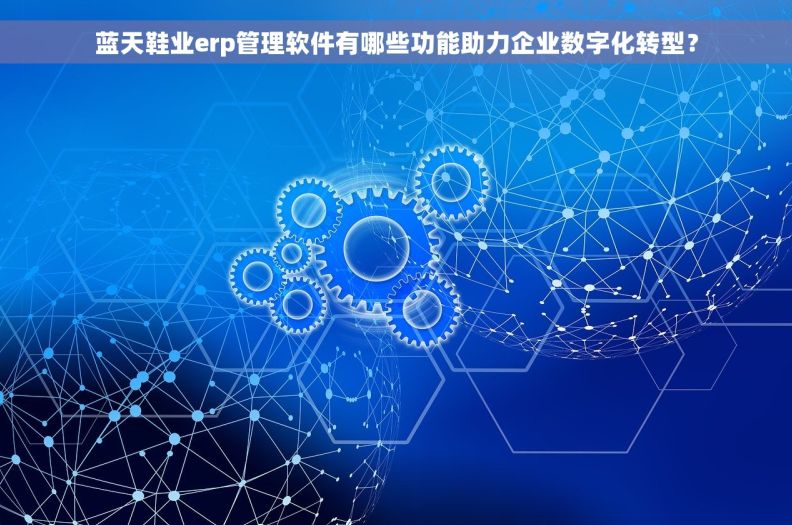 蓝天鞋业erp管理软件有哪些功能助力企业数字化转型？