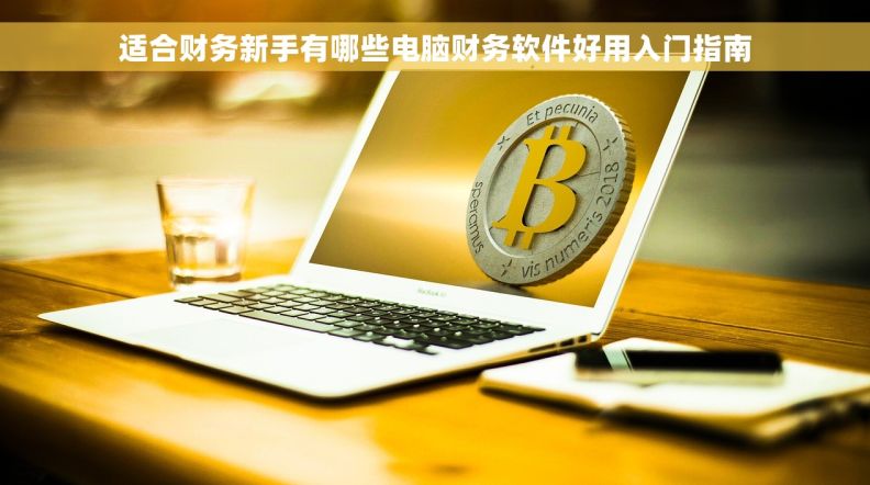 适合财务新手有哪些电脑财务软件好用入门指南