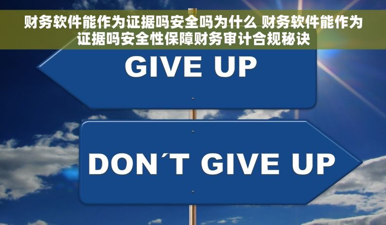 财务软件能作为证据吗安全吗为什么 财务软件能作为证据吗安全性保障财务审计合规秘诀 财务软件能作为证据吗安全吗为什么 财务软件能作为证据吗安全性保障财务审计合规秘诀