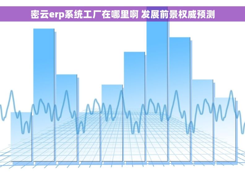 密云erp系统工厂在哪里啊 发展前景权威预测