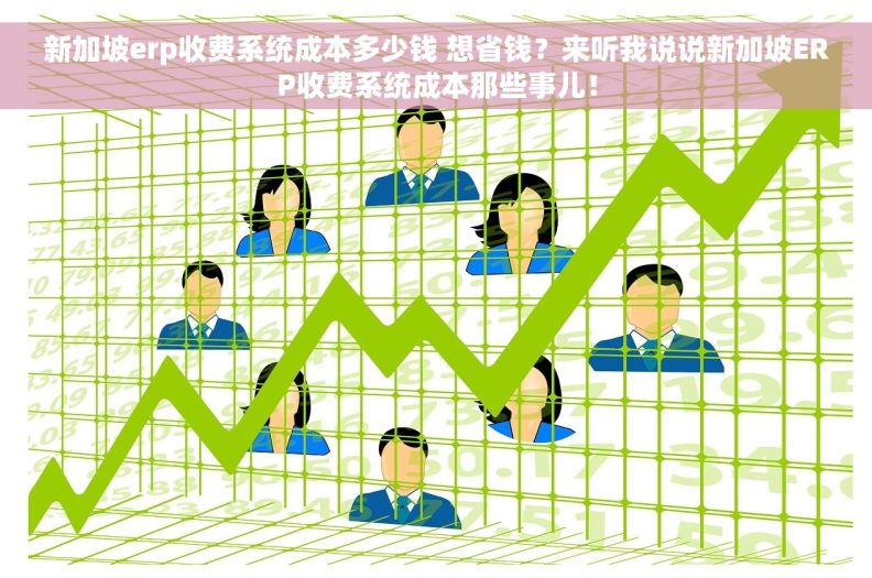新加坡erp收费系统成本多少钱 想省钱？来听我说说新加坡ERP收费系统成本那些事儿！