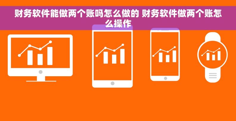 财务软件能做两个账吗怎么做的 财务软件做两个账怎么操作