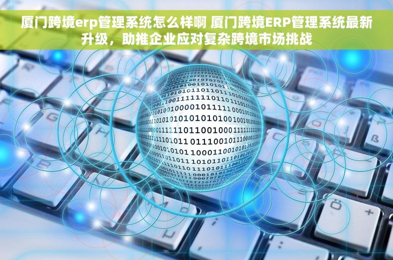 厦门跨境erp管理系统怎么样啊 厦门跨境ERP管理系统最新升级，助推企业应对复杂跨境市场挑战