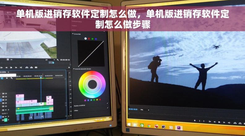 单机版进销存软件定制怎么做，单机版进销存软件定制怎么做步骤
