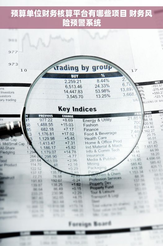 预算单位财务核算平台有哪些项目 财务风险预警系统