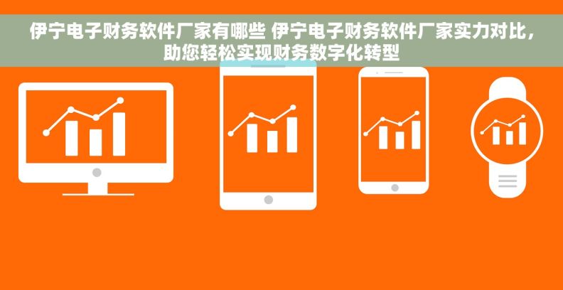 伊宁电子财务软件厂家有哪些 伊宁电子财务软件厂家实力对比，助您轻松实现财务数字化转型