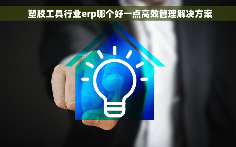   塑胶工具行业erp哪个好一点高效管理解决方案