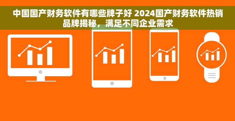 中国国产财务软件有哪些牌子好 2024国产财务软件热销品牌揭秘，满足不同企业需求