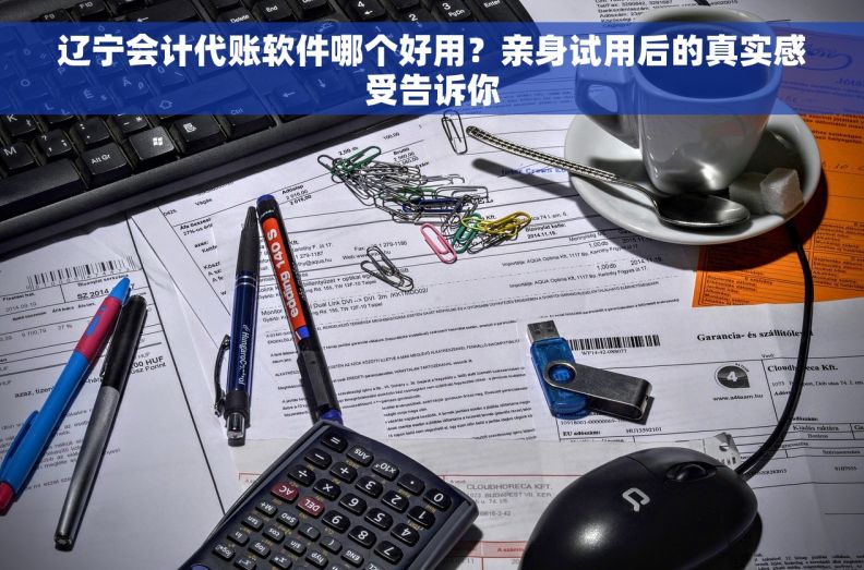 辽宁会计代账软件哪个好用？亲身试用后的真实感受告诉你