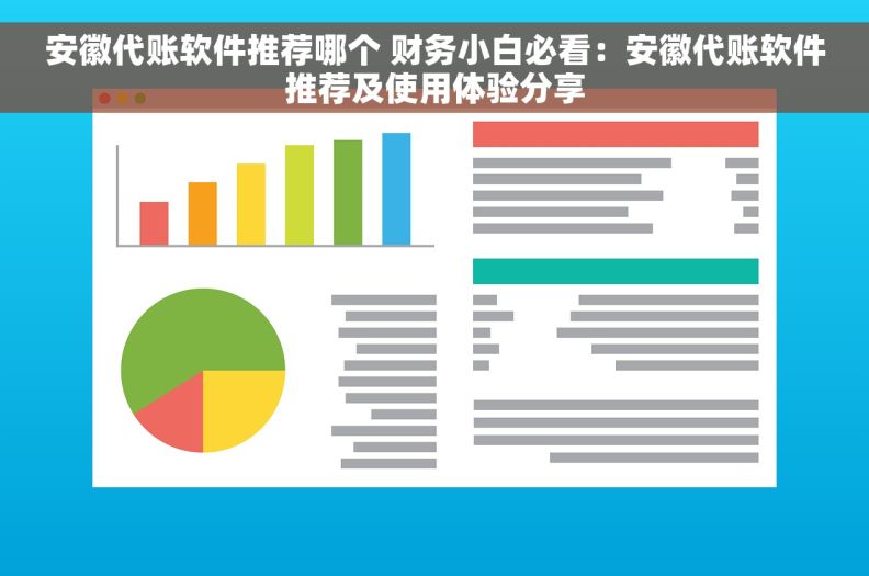 安徽代账软件推荐哪个 财务小白必看：安徽代账软件推荐及使用体验分享