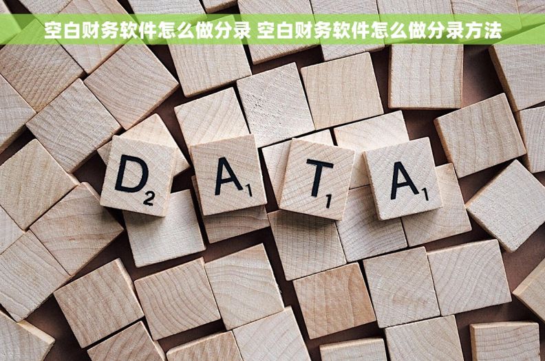 空白财务软件怎么做分录 空白财务软件怎么做分录方法