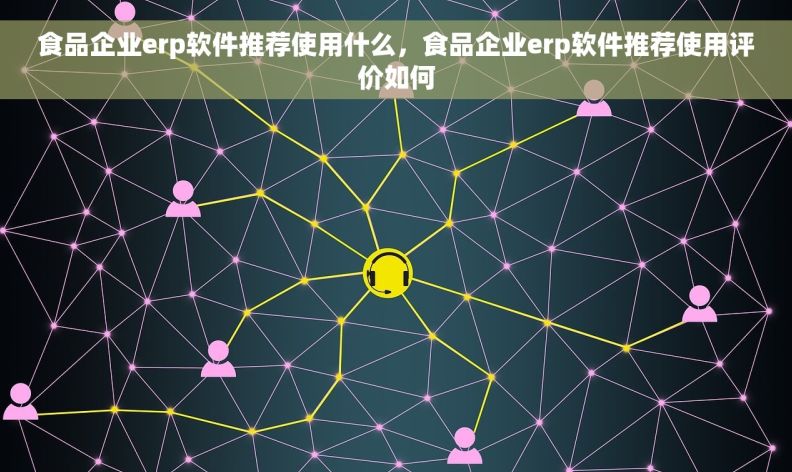 食品企业erp软件推荐使用什么，食品企业erp软件推荐使用评价如何