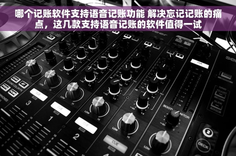 哪个记账软件支持语音记账功能 解决忘记记账的痛点，这几款支持语音记账的软件值得一试