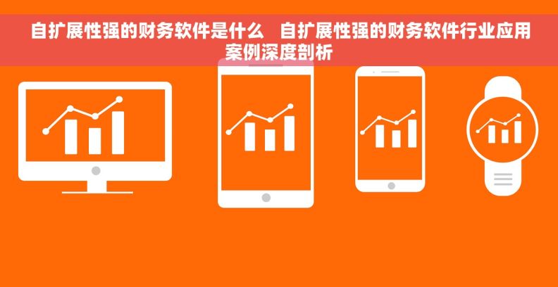 自扩展性强的财务软件是什么   自扩展性强的财务软件行业应用案例深度剖析