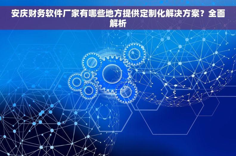 安庆财务软件厂家有哪些地方提供定制化解决方案？全面解析