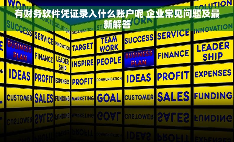 有财务软件凭证录入什么账户呢 企业常见问题及最新解答