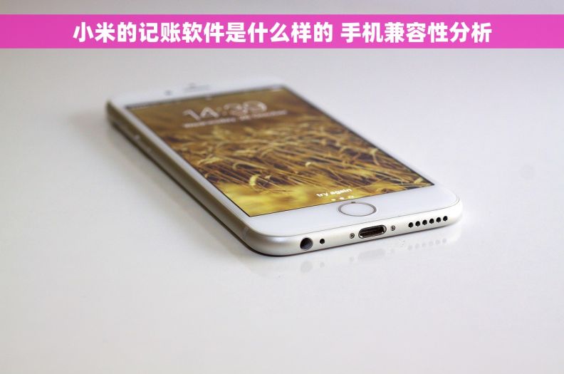小米的记账软件是什么样的 手机兼容性分析