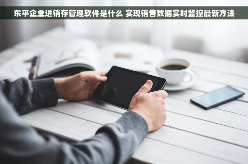 东平企业进销存管理软件是什么 实现销售数据实时监控最新方法