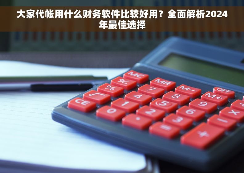 大家代帐用什么财务软件比较好用?全面解析2024年最佳选择 大家代帐用什么财务软件比较好用?全面解析2024年最佳选择
