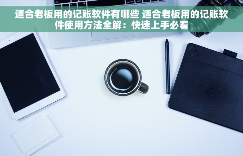 适合老板用的记账软件有哪些 适合老板用的记账软件使用方法全解：快速上手必看