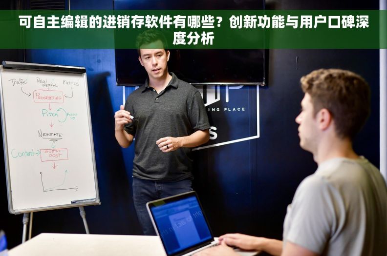 可自主编辑的进销存软件有哪些？创新功能与用户口碑深度分析