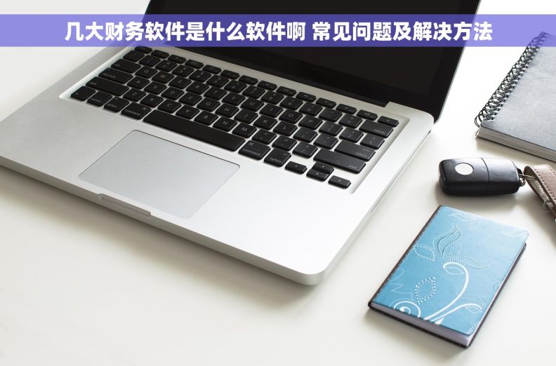 几大财务软件是什么软件啊 常见问题及解决方法