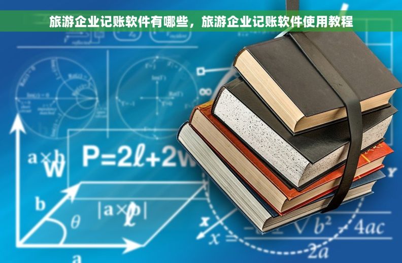 旅游企业记账软件有哪些，旅游企业记账软件使用教程