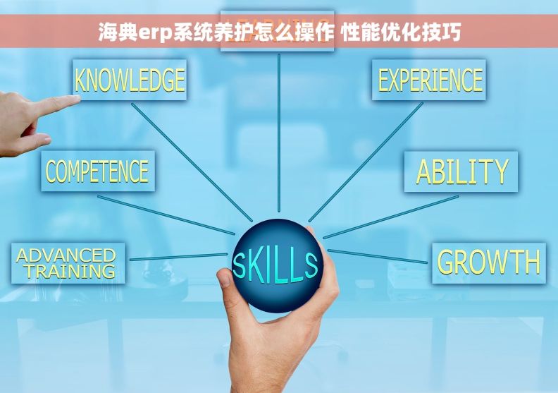 海典erp系统养护怎么操作 性能优化技巧
