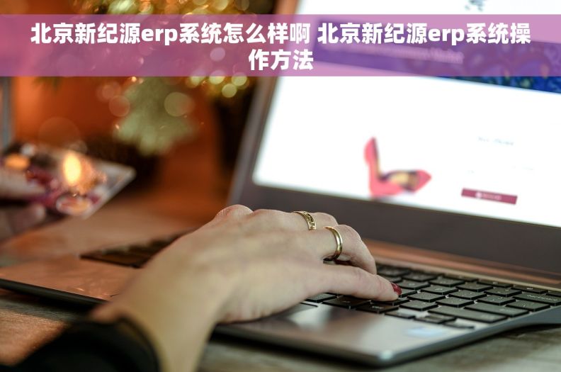 北京新纪源erp系统怎么样啊 北京新纪源erp系统操作方法